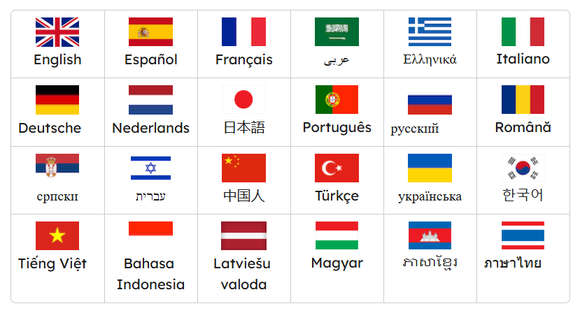 Teach 'n Go supported languages flags